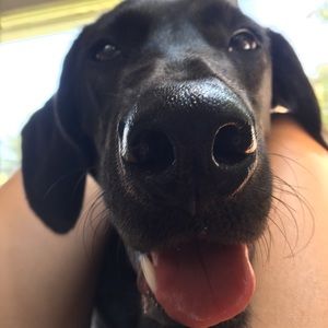 Meet your Posher, Carly